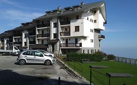 Panoramic Eagle